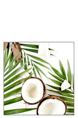 Pack 20 Napkins Coconuts Paper Green Large