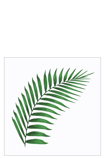 Pack 20 Napkins Fern Leaf Paper White/Green Large
