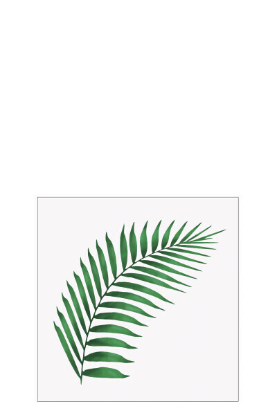 Pack 20 Napkins Fern Leaf Paper White/Green Small