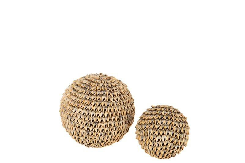 Ball Shells Brown Large