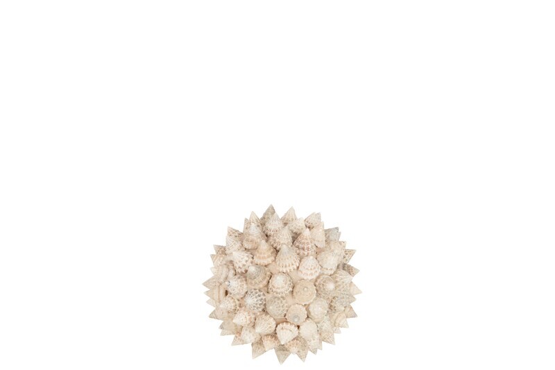 Ball Shells Pike White Small