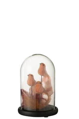 Bell Jar 3 Birds+Feathers Glass Pink/Bordeaux