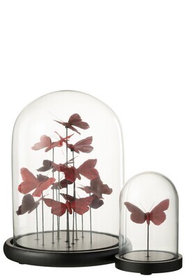 Bell Jar Butterflies Glass Red/Bordeaux Large