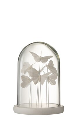 Bell Jar Butterfly Glass White Small