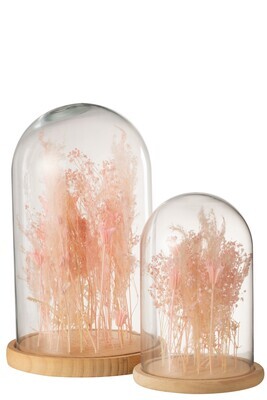 Bell Jar Dried Flowers Light Pink Glass Wood Large