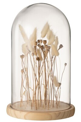 Bell Jar Dried Flowers Ecru/Brown Glass Wood Large
