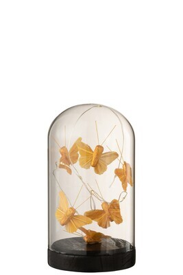 Bell Jar High Led Butterflies Glass/Wood Gold/Black Small
