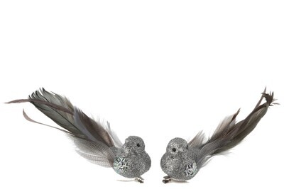 Bird+Clip Feathers Glitter Grey Small Assortment Of 2