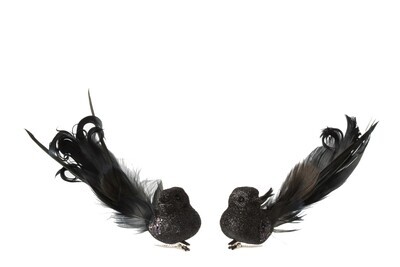 Bird+Clip Feathers Glitter Black Small Assortment Of 2