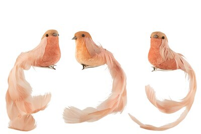 Bird+Clip Feathers Salmon Assortment Of 3