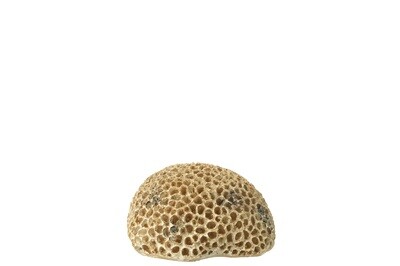 Coral Round Polyresin Brown/Gold
