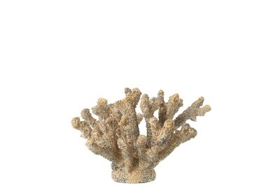 Coral Polyresin Brown/Gold Medium