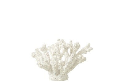 Coral Polyresin White Medium