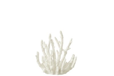 Coral Polyresin White Small