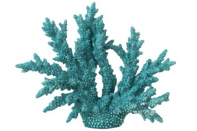 Coral Polyresin Azure Extra L