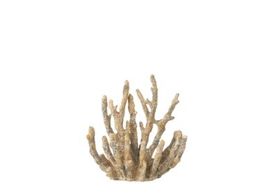 Coral Polyresin Brown/Gold Small