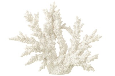 Coral Polyresin White Extra L