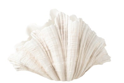 Deco Vase Clam Shell Polyresin Off White