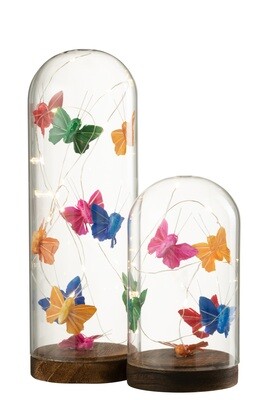 Bell Jar High Led Butterflies Glass/Wood Mix Large