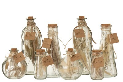Bottles With Dried Flowers Glass Natural Large Assortment Of 2