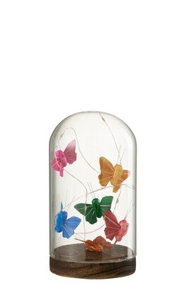 Bell Jar High Led Butterflies Glass/Wood Mix Small