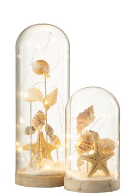 Bell Jar High Led Shells+Sand Glass/Wood White/Natural Large