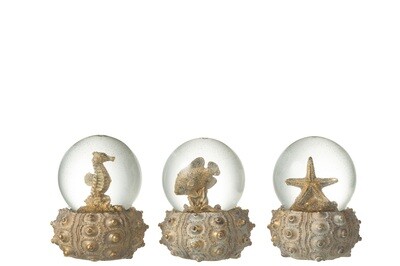 Waterglobe Sea Polyresin Brown/Gold Small Assortment Of 3