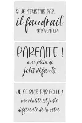 Placard Texts French Mix Metal White/Black Assortment Of 3