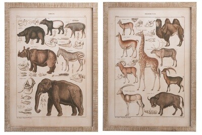 Wall Decoration Animals Antique Wood/Glass Natural/Sepia Assortment Of 2