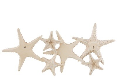 Wall Decoration Star Fish Poly Beige