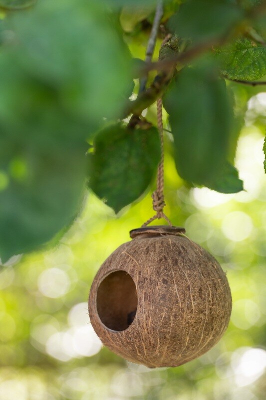Coconut House Brown Natural Small