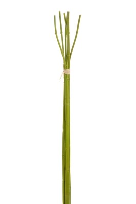 Fine Bamboo In Bundle 6 P Green