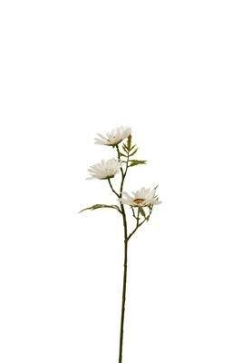 Flower Daisy Plastic White