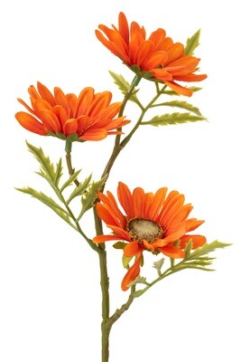 Flower Daisy Plastic Orange