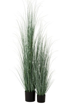 Grasses In Pot Plastic Blue/Green Extra Large