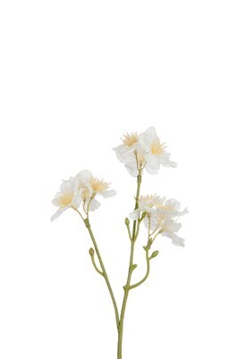 Blossom Cherry Tree White/Light Yellow Small 25cm