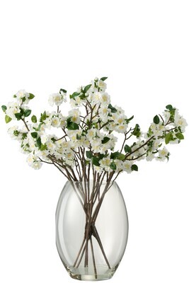 Blossom In Vase Plastic Glass White Xl