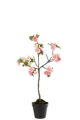 Blossomtree Plastic Pink/Brown Small