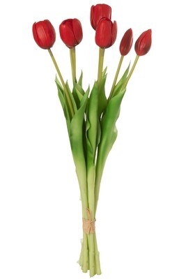 Bouquet Tulips 7Pieces Pu Red Large