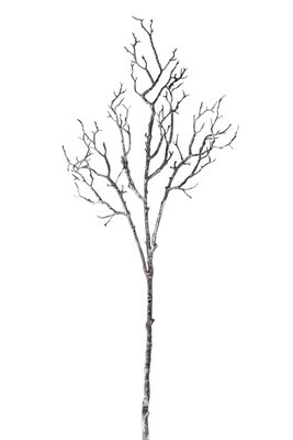 Branch Bald Tree Plastic Dark Brown/White Large