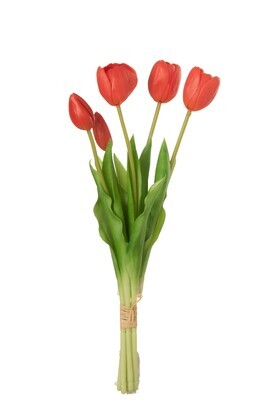 Bouquet Tulips 5Pieces Pu Coral Pink Medium