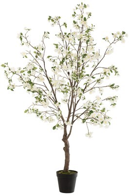 Blossomtree Plastic White/Brown Extra Large