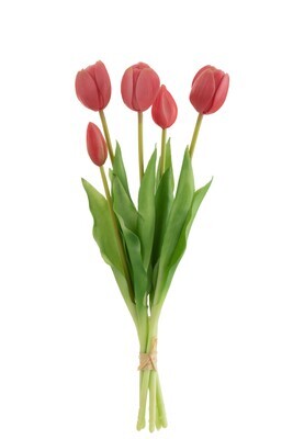 Bouquet Tulips 5Pieces Pu Bright Pink Medium