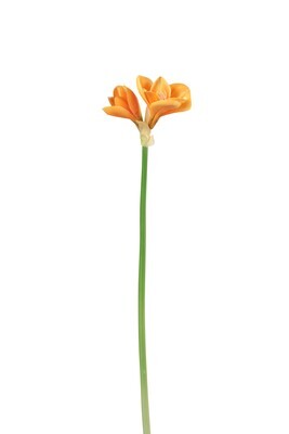 Amaryllis 3 Flower Plastic Light Orange