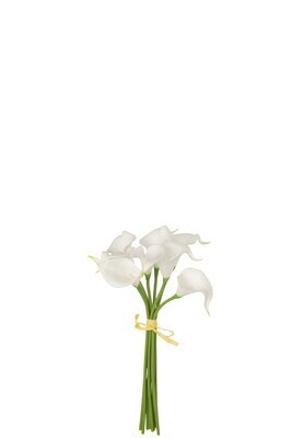 Bouquet Calla Lily 8Pieces Plastic White Small