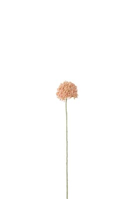 Branch Allium Plastic Pink