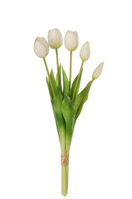 Bouquet Tulips 5Pieces Pu White Medium