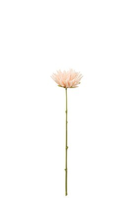 Chrysanth Mini Plastic Light Pink