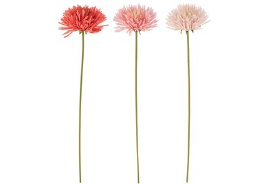 Chrysanthemum Plastic Pink Mix Assortment Of 3