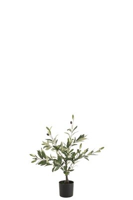 Olive Tree In Pot Plastic Green Small